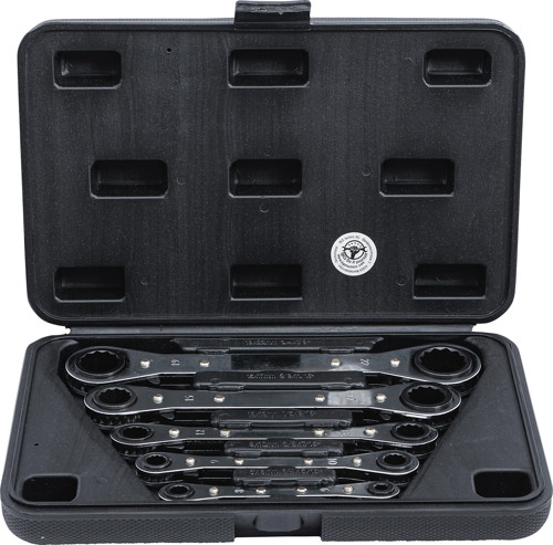 BGS Ratschen-Ringschlüssel-Satz, gerade, umschaltbar | SW 6 x 8 - 19 x 22 mm | 5-tlg.