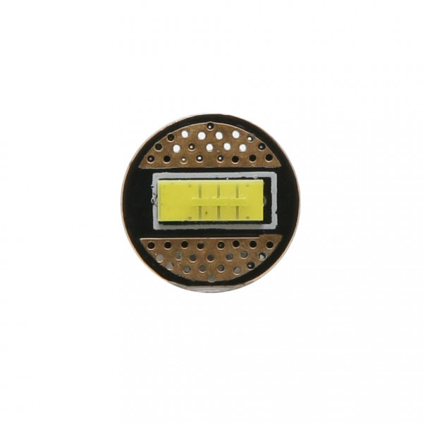 LED Glassockel T10 W5W W2,1x9,5d 3x 2055 SMD 250 Lumen Canbus