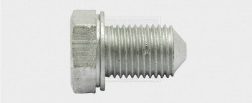 Ölablassschraube M14 x 1,5 x 22 mit Dichtring, Stahl 1Stk.