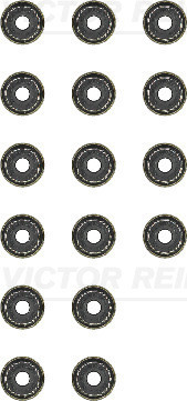 VICTOR REINZ Dichtungssatz, Ventilschaft