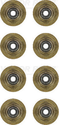 VICTOR REINZ Dichtungssatz, Ventilschaft