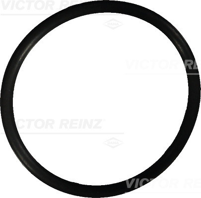 VICTOR REINZ Dichtring