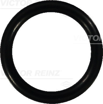 VICTOR REINZ Dichtring