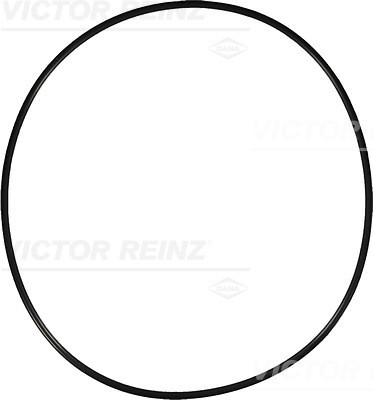 VICTOR REINZ Dichtring