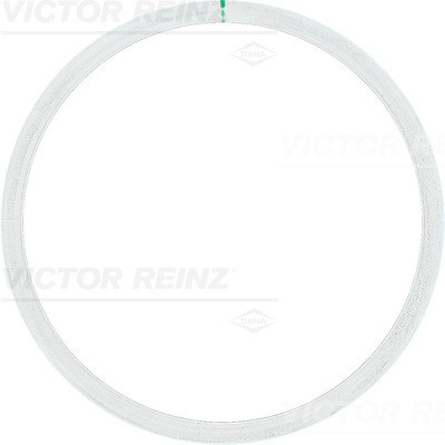 VICTOR REINZ Dichtung, Zylinderkopf