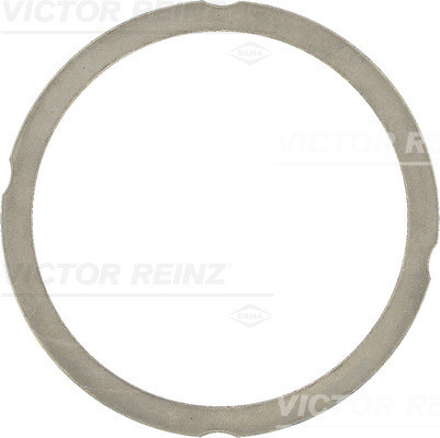 VICTOR REINZ Dichtung, Zylinderkopf
