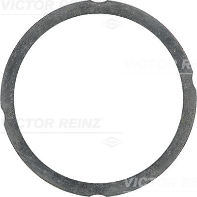 VICTOR REINZ Dichtung, Zylinderkopf