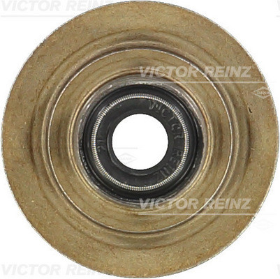 VICTOR REINZ Dichtring, Ventilschaft