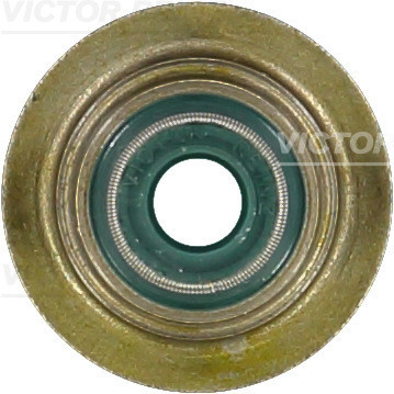 VICTOR REINZ Dichtring, Ventilschaft