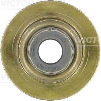 VICTOR REINZ Dichtring, Ventilschaft