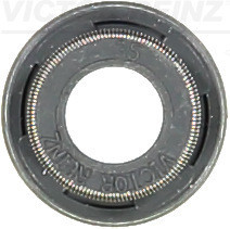 VICTOR REINZ Dichtring, Ventilschaft