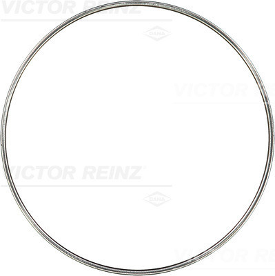 VICTOR REINZ Dichtung, Zylinderkopf