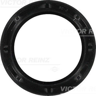 VICTOR REINZ Wellendichtring, Kurbelwelle