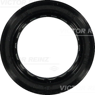 VICTOR REINZ Wellendichtring, Kurbelwelle