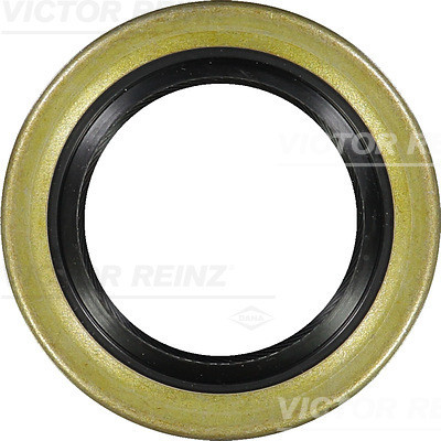 VICTOR REINZ Wellendichtring, Kurbelwelle