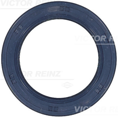 VICTOR REINZ Wellendichtring, Kurbelwelle
