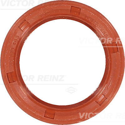 VICTOR REINZ Wellendichtring, Kurbelwelle