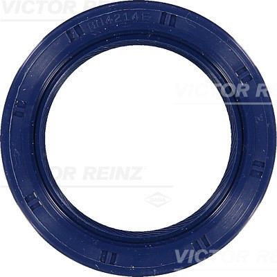 VICTOR REINZ Wellendichtring, Kurbelwelle