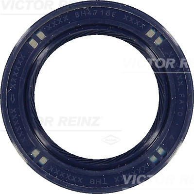 VICTOR REINZ Wellendichtring, Kurbelwelle