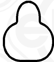 ELRING Dichtung, Ansaugkrümmer