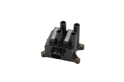 BorgWarner (BERU) Zündspule