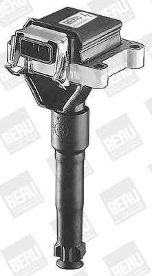 BorgWarner (BERU) Zündspule