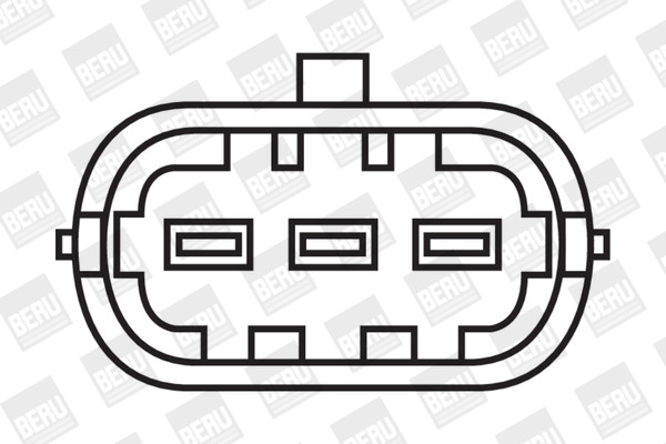 BorgWarner (BERU) Zündspule