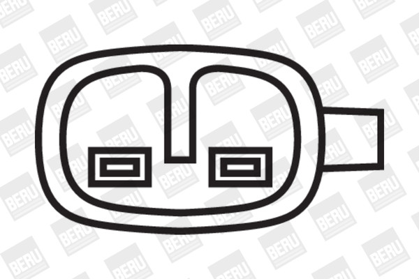 BorgWarner (BERU) Zündspule