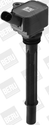 BorgWarner (BERU) Zündspule