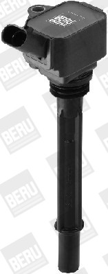 BorgWarner (BERU) Zündspule