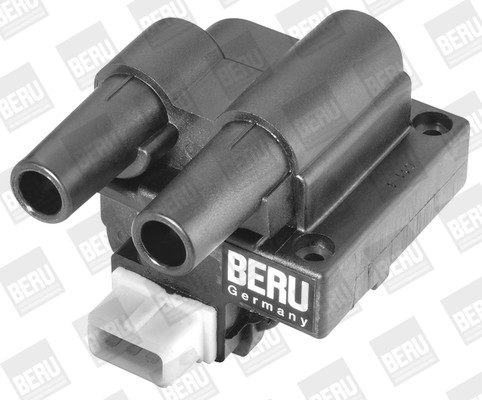 BorgWarner (BERU) Zündspule
