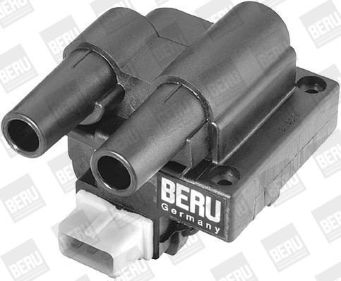 BorgWarner (BERU) Zündspule