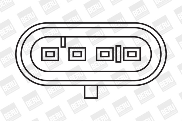 BorgWarner (BERU) Zündspule