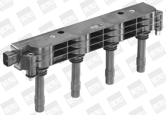 BorgWarner (BERU) Zündspule