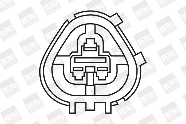 BorgWarner (BERU) Zündspule