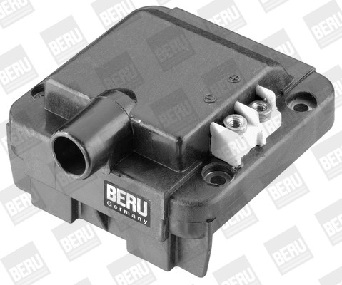 BorgWarner (BERU) Zündspule