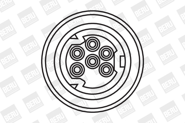 BorgWarner (BERU) Zündspule