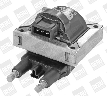BorgWarner (BERU) Zündspule