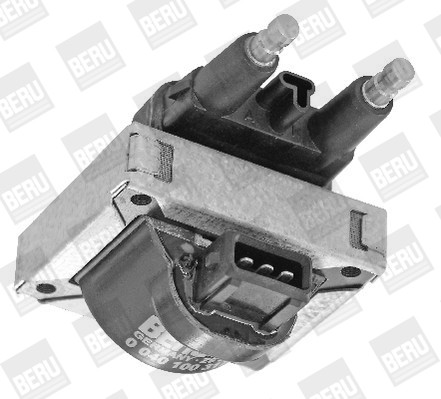 BorgWarner (BERU) Zündspule