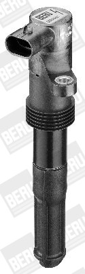 BorgWarner (BERU) Zündspule