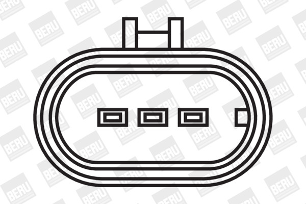 BorgWarner (BERU) Zündspule