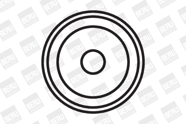 BorgWarner (BERU) Zündspule