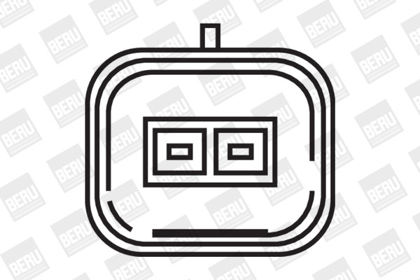 BorgWarner (BERU) Zündspule