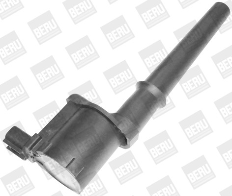 BorgWarner (BERU) Zündspule