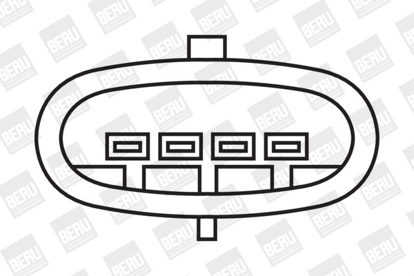 BorgWarner (BERU) Zündspule