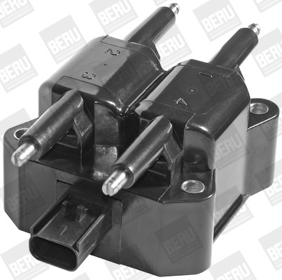 BorgWarner (BERU) Zündspule BorgWarner (BERU) Zündspule