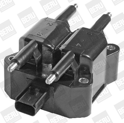 BorgWarner (BERU) Zündspule BorgWarner (BERU) Zündspule