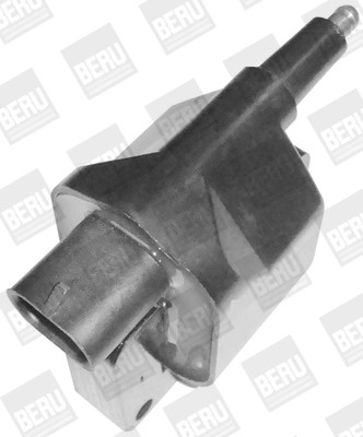 BorgWarner (BERU) Zündspule
