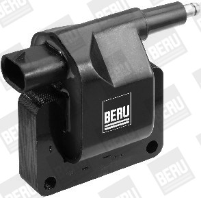 BorgWarner (BERU) Zündspule