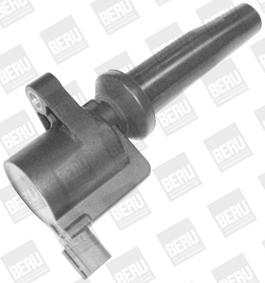 BorgWarner (BERU) Zündspule